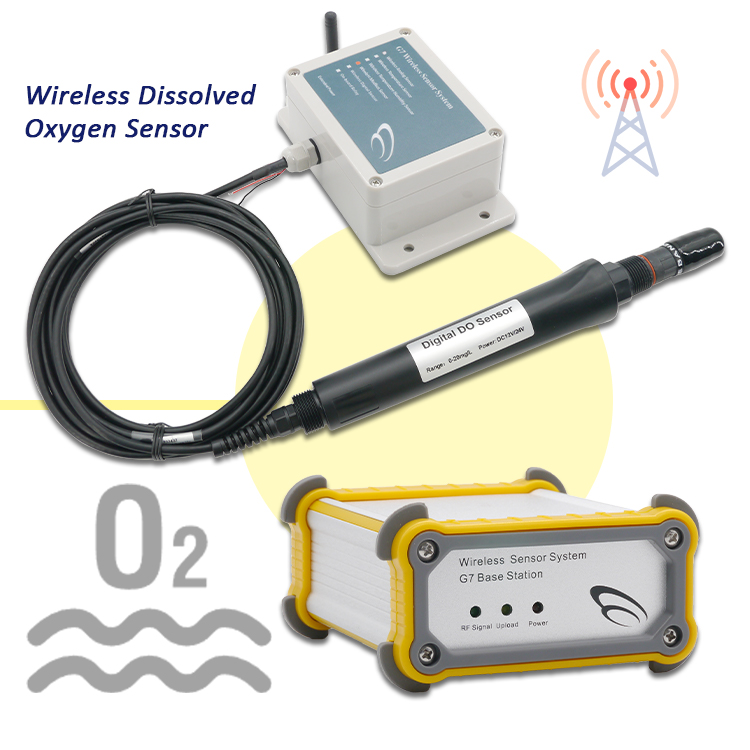NUOVO Analizzatore per il Trat - Do Oxygen Meter recensione e prezzo